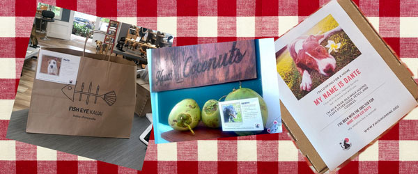 Kauai-idea-Newsletter-banner.jpg