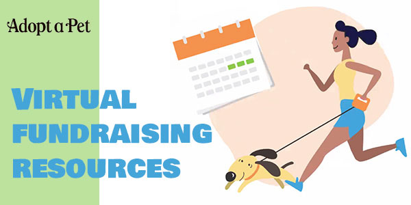 AAP-virtual-fundraising.jpg