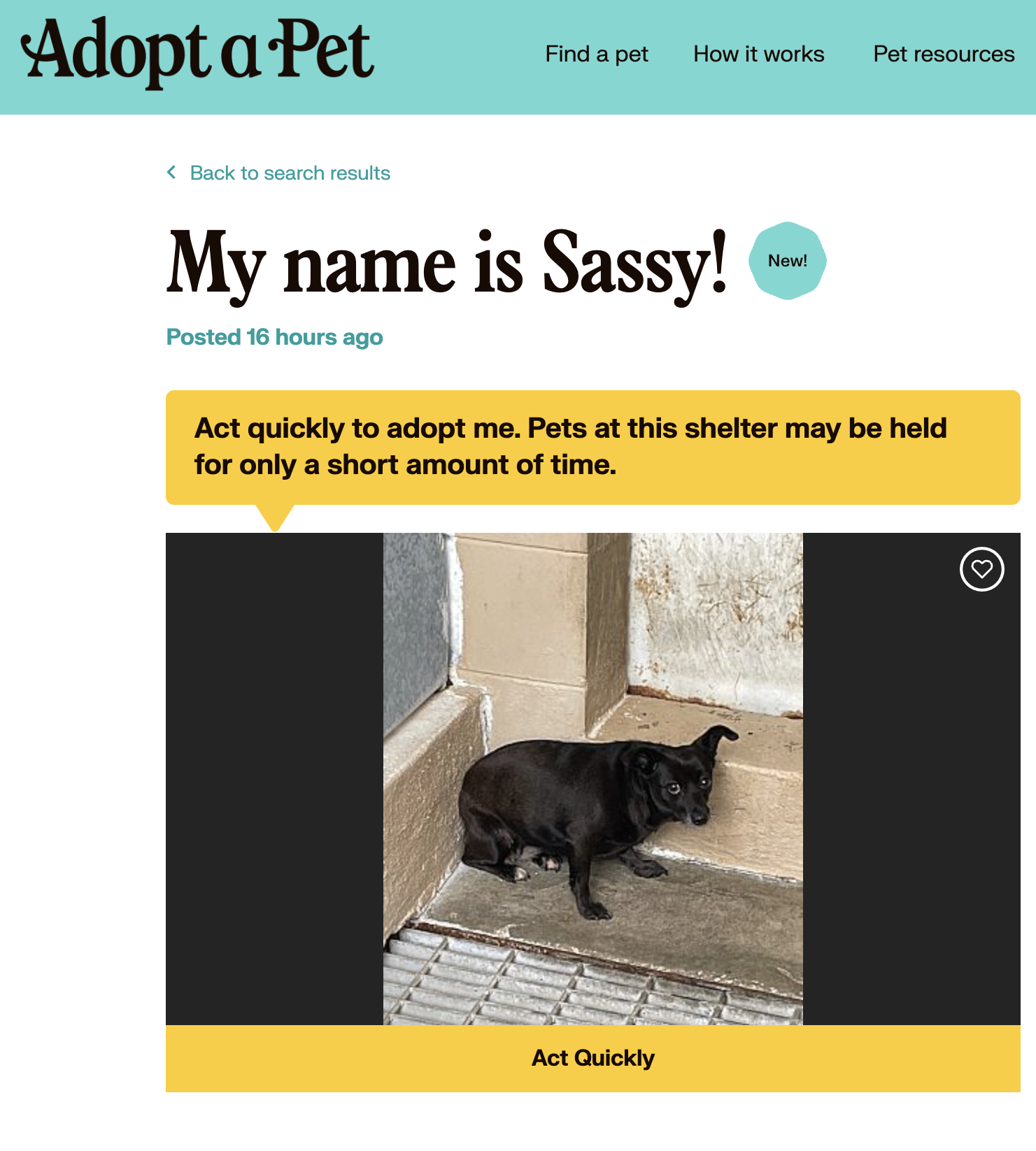 ActQuickly-pet-page.png