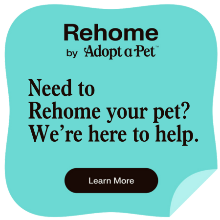 RehomebyAdoptaPet-need2.png