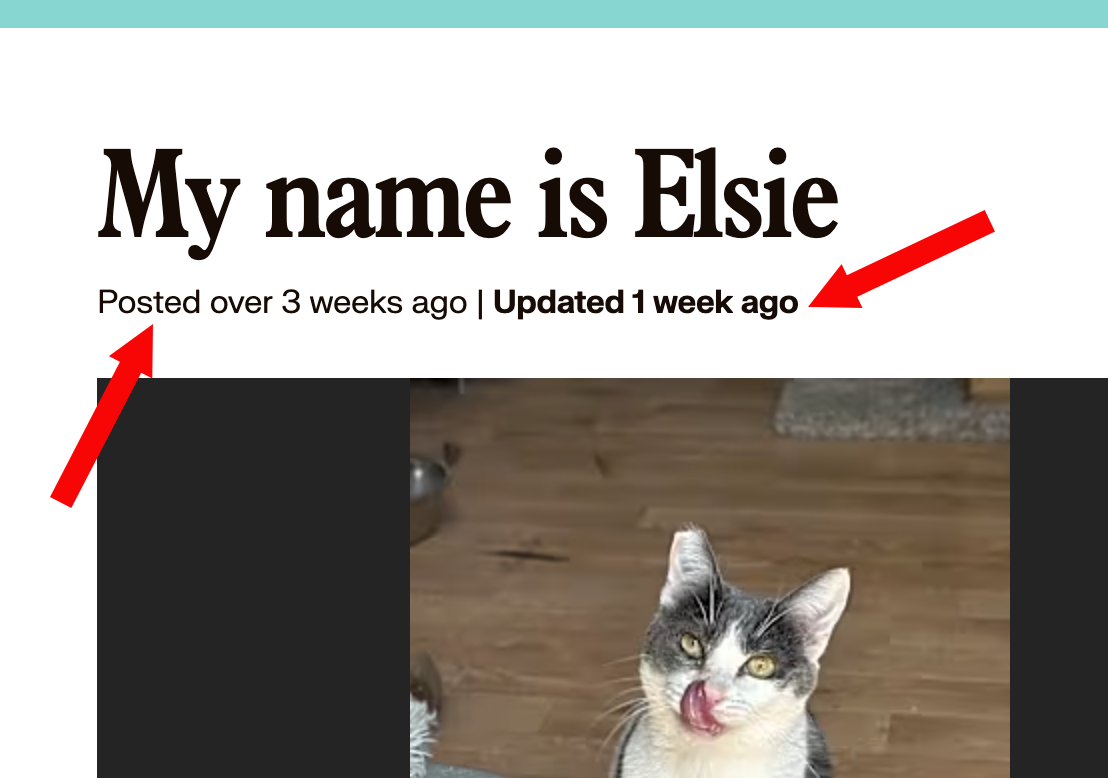 Pet page posted and updated timestamps.png