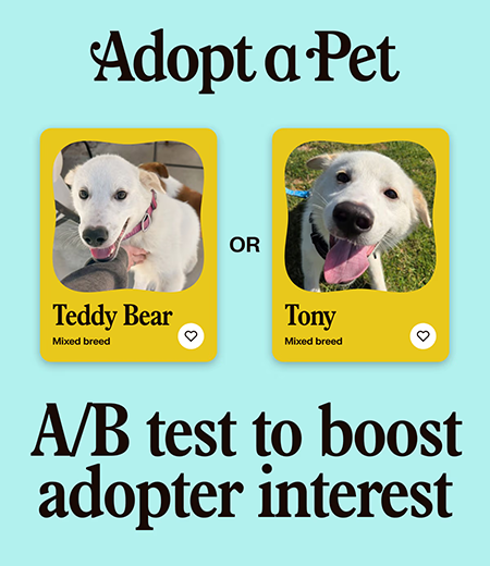 A-B-test-to-boost-adopter-interest.png